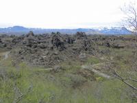 Im Lava-Garten von Dimmuborgir