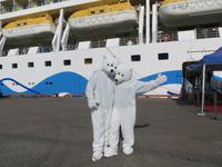 Eisbären an der AIDAluna