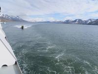 Ausfahrt aus dem Hafen von Longyearbyen