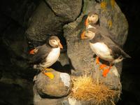 In den Nordkap-Hallen