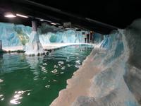 Im Polaria-Erlebniscenter Tromsøs