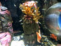 Im Polaria-Erlebniscenter Tromsøs