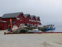 Fischereihafen auf der Lofoteninsel Vestvågøy