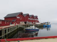Fischereihafen auf der Lofoteninsel Vestvågøy