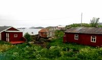 Rorbuer-Hütten auf den Lofoten