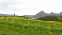 Wikingermuseum der Lofoten in Borge – Blick zur Kirche von Borge