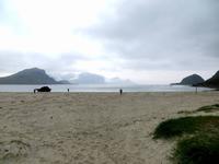 Am Strand von Haukland auf den Lofoten