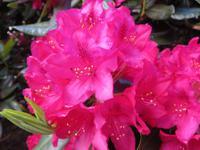 Stadtspaziergang in Bergen