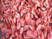 Auf dem Fischmarkt von Bergen