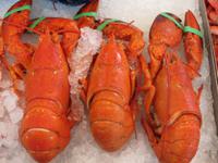 Auf dem Fischmarkt von Bergen