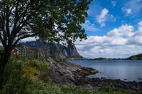 in Reine auf den Lofoten