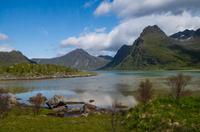 auf der Insel Flakstadoy