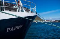 im Hafen von Isafjördur