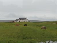 Kreuzfahrt mit AIDAsol Skandinavien – Orkney Inseln