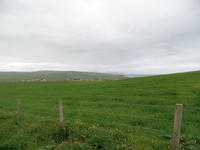 Kreuzfahrt mit AIDAsol Skandinavien – Orkney Inseln