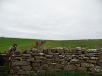 Kreuzfahrt mit AIDAsol Skandinavien – Orkney Inseln