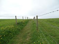 Kreuzfahrt mit AIDAsol Skandinavien – Orkney Inseln