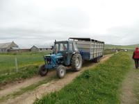 Kreuzfahrt mit AIDAsol Skandinavien – Orkney Inseln