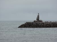 Kreuzfahrt mit AIDAsol Skandinavien – Island, Reykjavik, Wikingermuseum