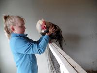 Kreuzfahrt mit AIDAsol Skandinavien – Island, Reykjavik, Wikingermuseum