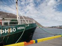 Kreuzfahrt mit AIDAsol Skandinavien – Island, Isafjördur, Westfjorde