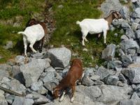 017a Stavanger - Lysefjord