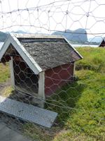 021 Stavanger - Lysefjord - Hühnerhütte
