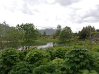 Botanischer Garten in Tromsö