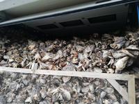 Trockenfischlager auf den Lofoten