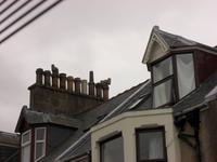 die typischen Schornsteine