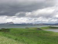 Island - Myvatn (Mückensee)
