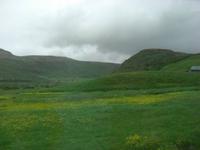 Island -Landschaft 