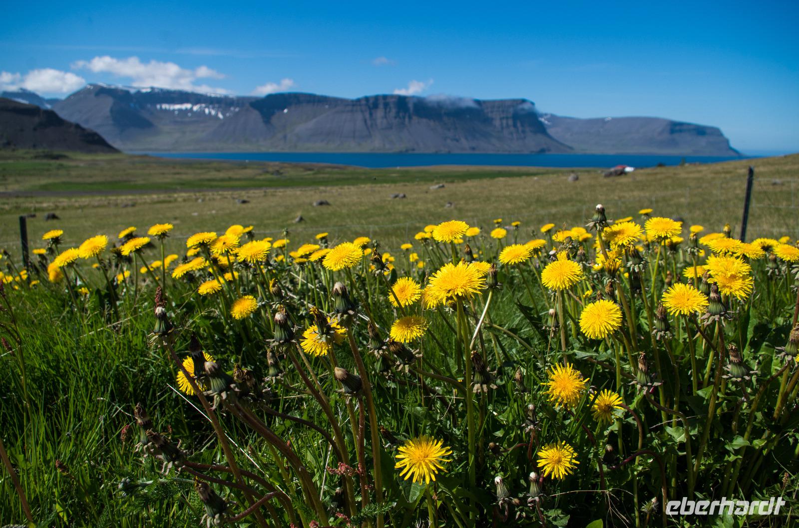 Skrudur auf Island