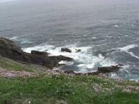 an den Klippen im Süden - Shetland Inseln