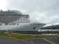 MSC Splendida