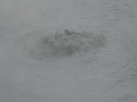 blubberndes Schlammloch - Fumarole