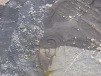 Geistbild am Kleivatn