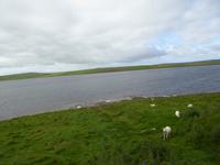 Orkney Inseln 