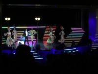 Schottland Island 2017