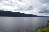 Schottland Island 2017