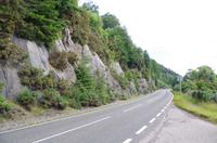 Schottland Island 2017