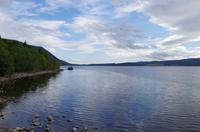 Schottland Island 2017