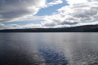 Schottland Island 2017