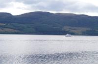 Schottland Island 2017