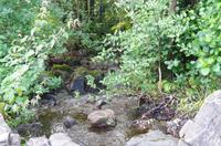 Schottland Island 2017