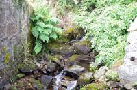 Schottland Island 2017