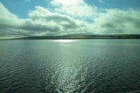 Schottland Island 2017