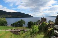 Schottland Island 2017