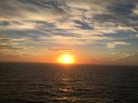 Schottland Island 2017