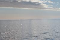 Schottland Island 2017